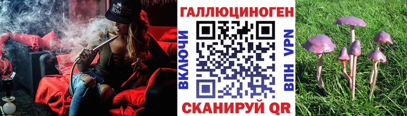 Галлюциногенные грибы мицелий  где продают   Неман 