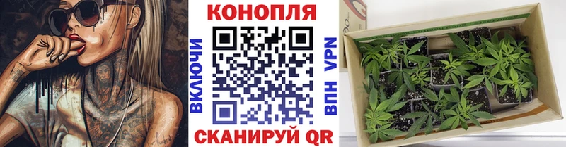 Бошки Шишки White Widow  Неман 